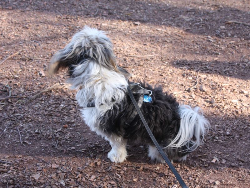 ein dorf spielt ttc 2015 2 20211024