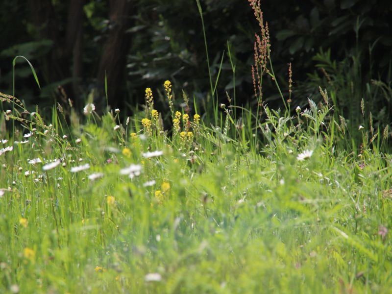 ein dorf spielt tt 2019 49 20211024